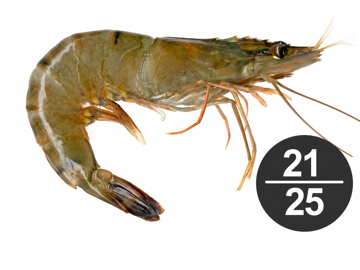 Fresh Shrimp Head On
