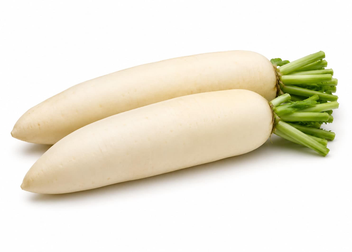 Daikon