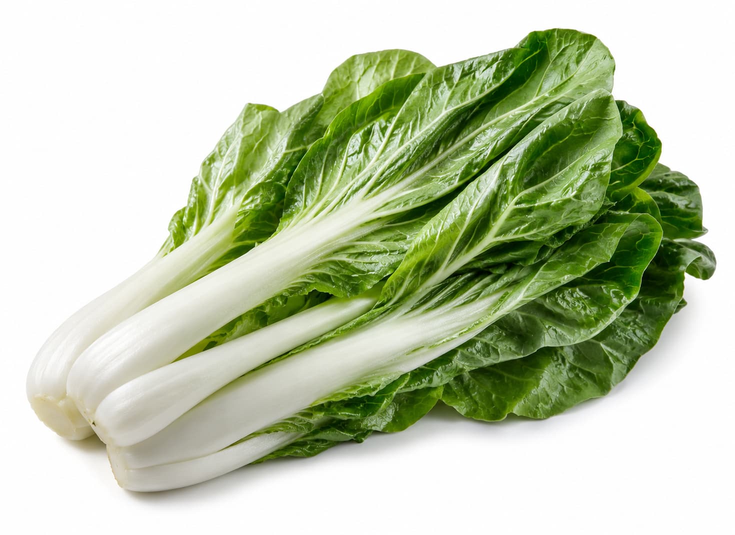 Taiwan Bok Choy