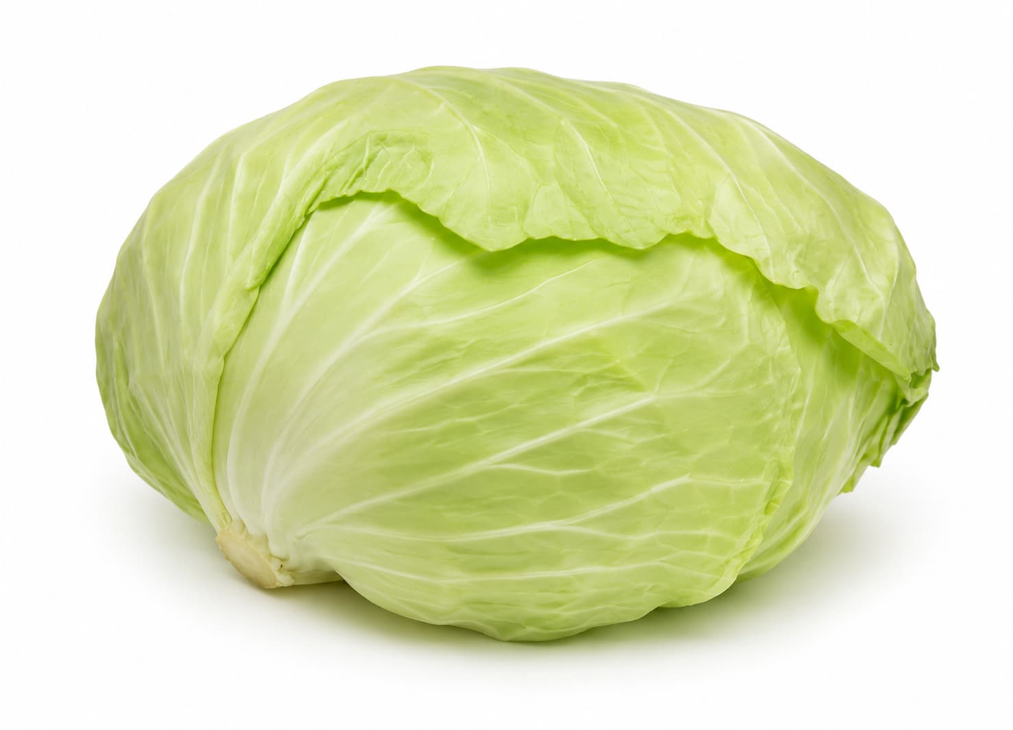 Taiwan Cabbage
